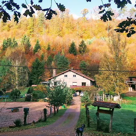 Gîte De La Vallée Soucht Extérieur photo