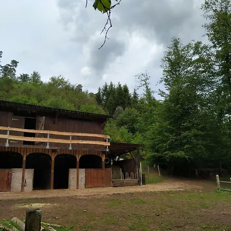 Gîte De La Vallée Soucht Extérieur photo
