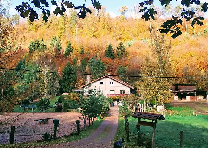 Gîte De La Vallée