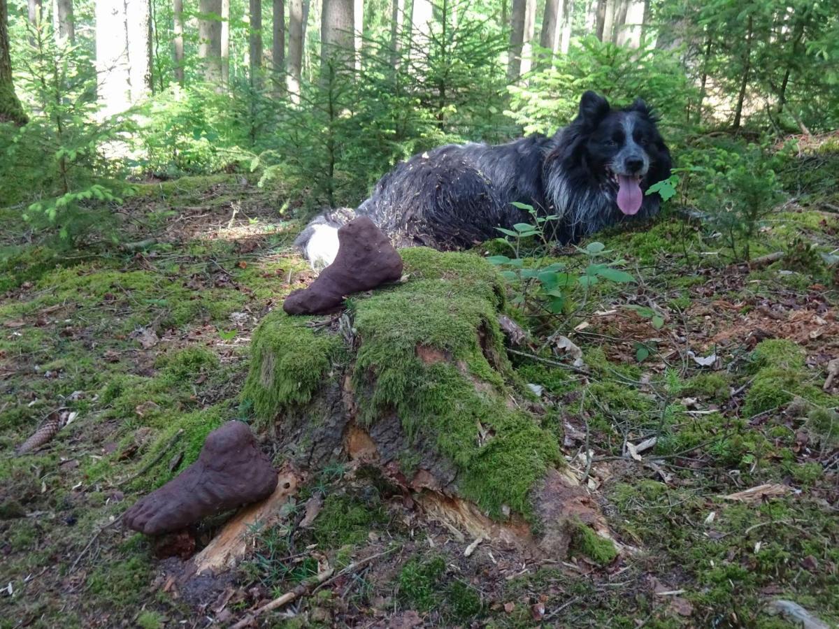 Hébergement de vacances De La Vallée