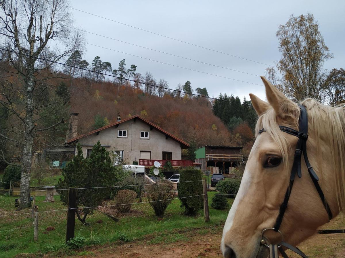 De La Vallée Hébergement de vacances