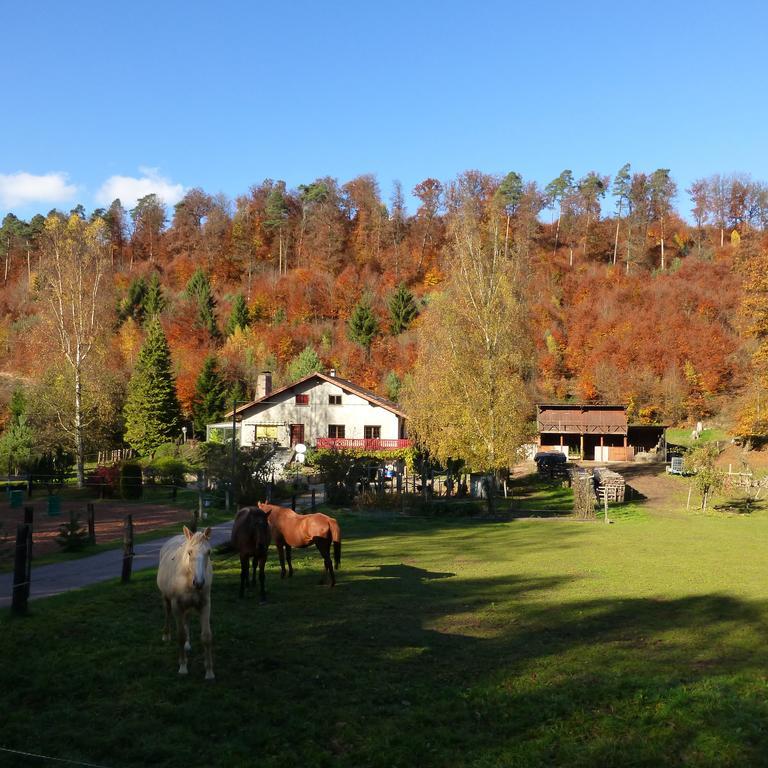 Hébergement de vacances De La Vallée *