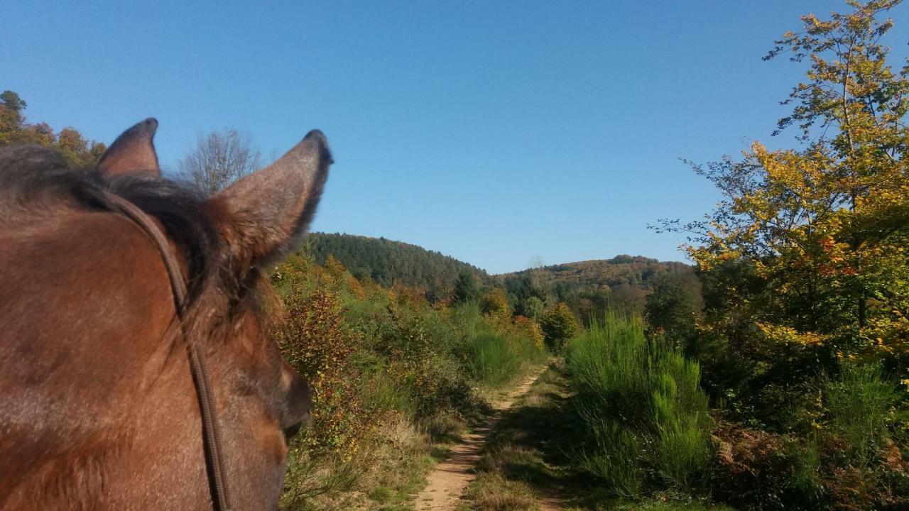 De La Vallée * Soucht