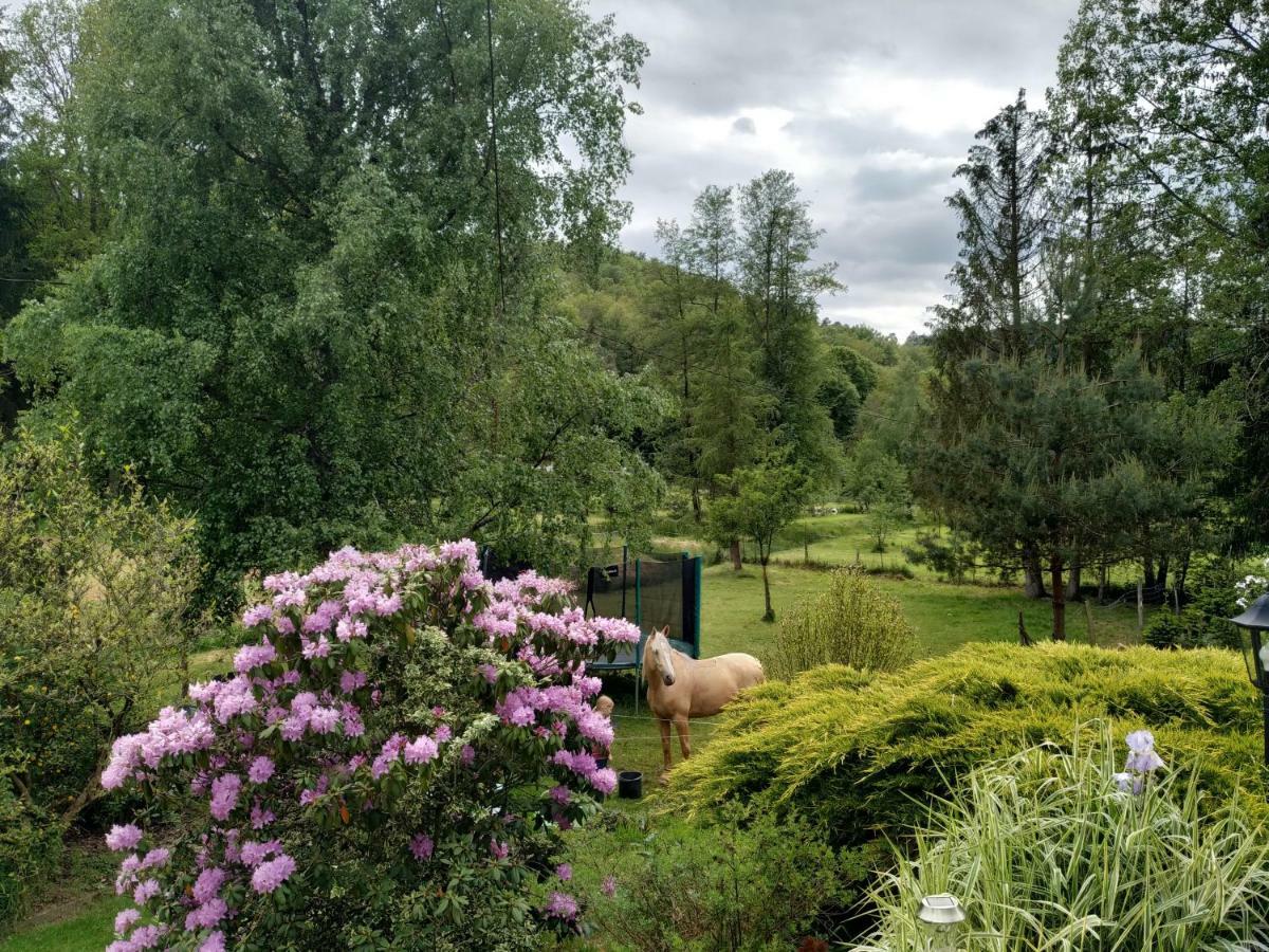 De La Vallée Hébergement de vacances Soucht